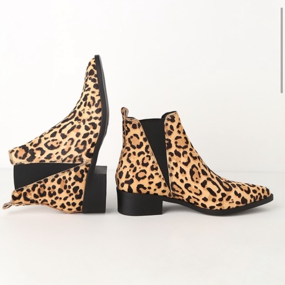 Steve Madden Shoes - Steve Madden Jerry Leopard Booties
